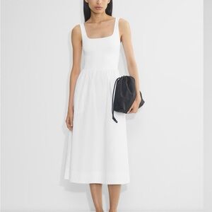 Aritzia Babaton Revive Dress